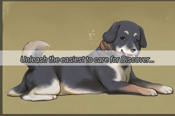 Unleash the easiest to care for Discover the Best Dog Breeds by Color for a NoFuss Pet Life